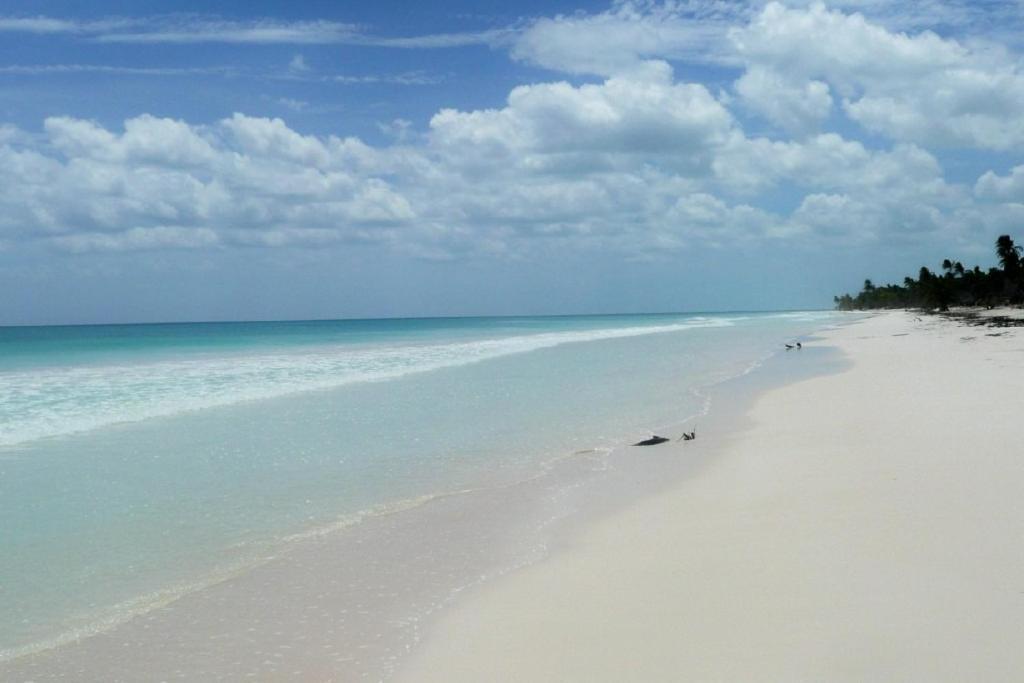 Casa Pelicanos Tulum Beach Mx - Next To Hotel Zone Luaran gambar